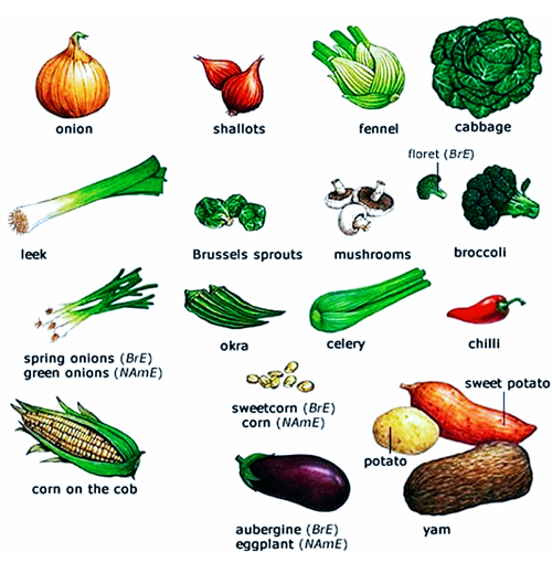 VOCABULARY - Vegetables