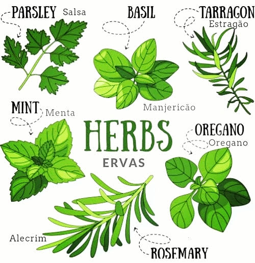 VOCABULARY Herbs ENGLISH Your Way