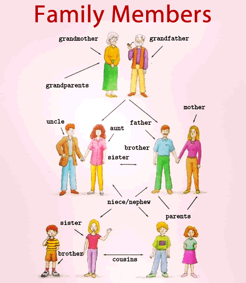 VOCABULARY Family Members ENGLISH Your Way 