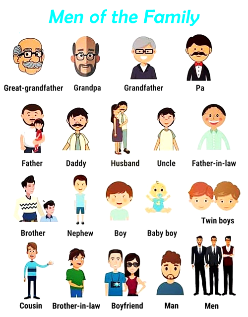 VOCABULARY - Men of the Family - ENGLISH - Your Way!